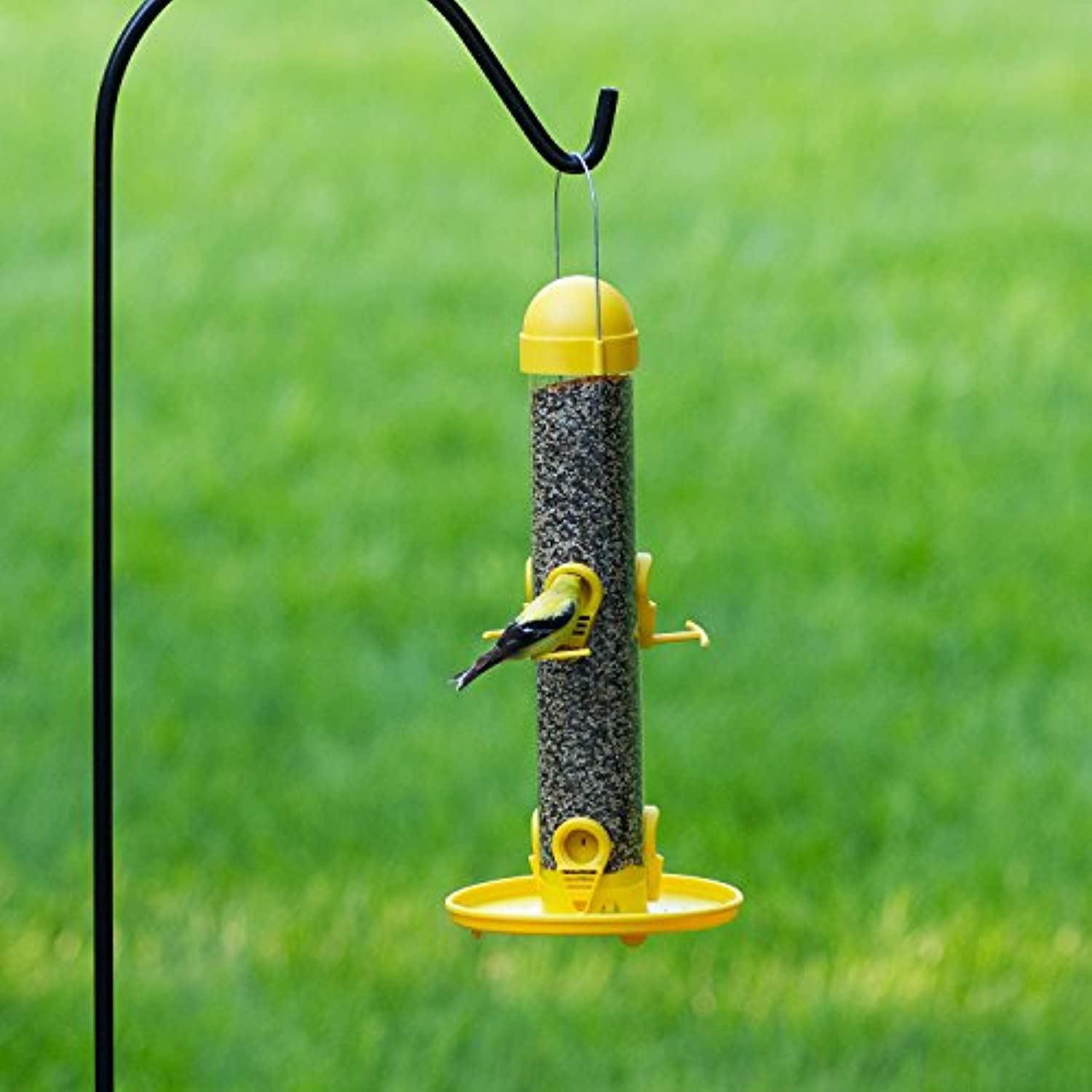 Woodstream, Garden Song Garden Song Finches 1 oz Tube Bird Feeder 6 ports 4644 - Image 5