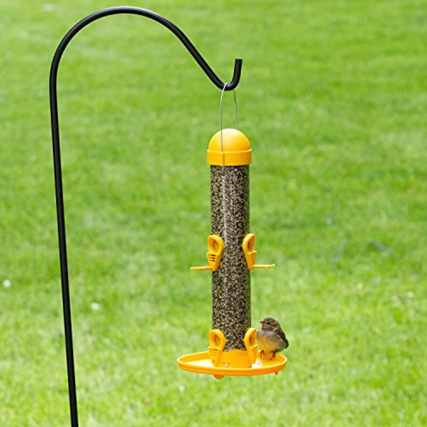 Woodstream, Garden Song Garden Song Finches 1 oz Tube Bird Feeder 6 ports 4644 - Image 2