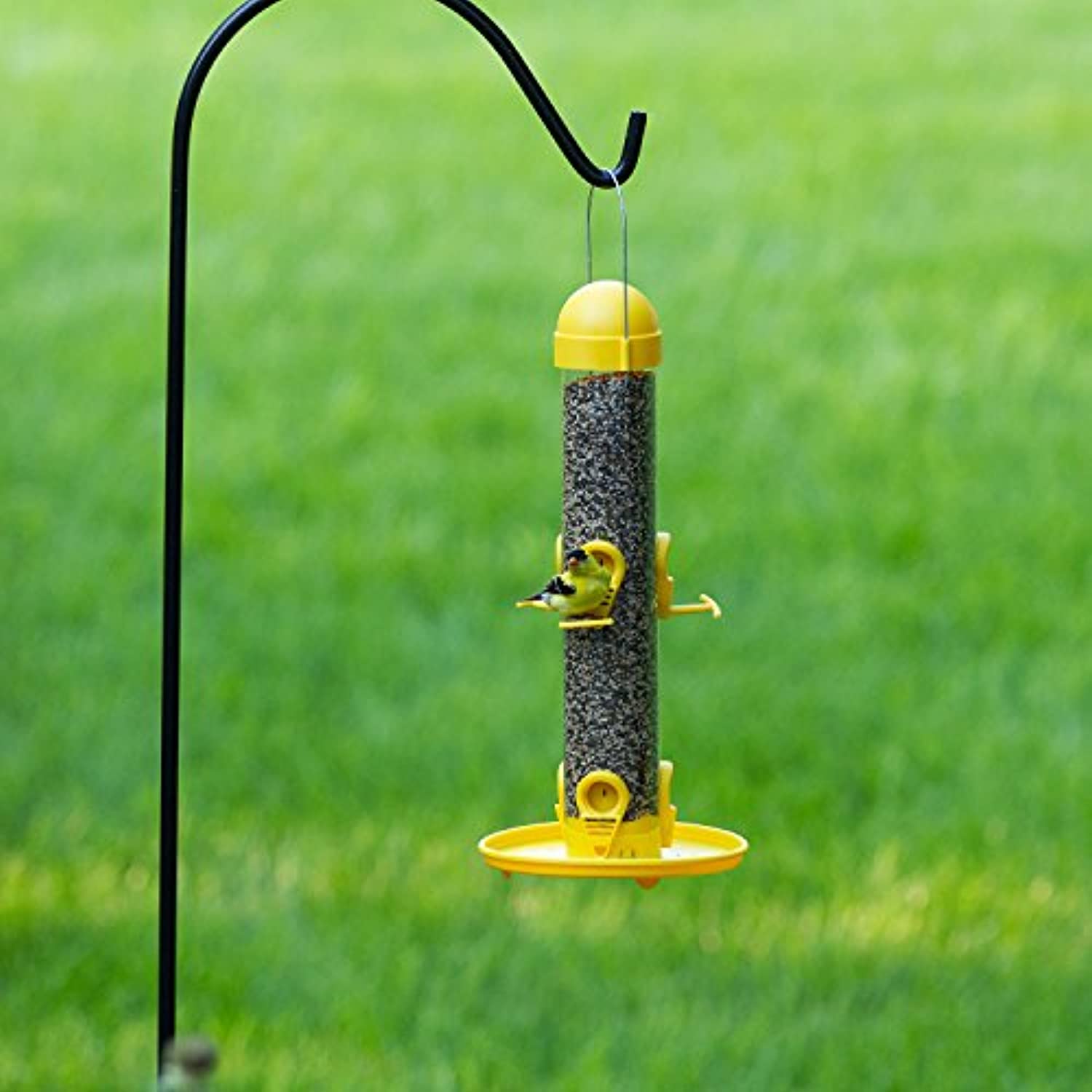 Woodstream, Garden Song Garden Song Finches 1 oz Tube Bird Feeder 6 ports 4644 - Image 6