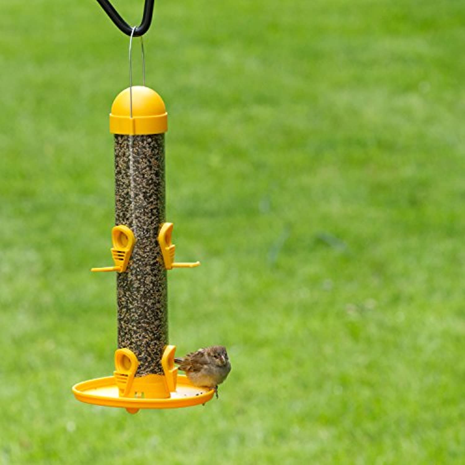 Woodstream, Garden Song Garden Song Finches 1 oz Tube Bird Feeder 6 ports 4644 - Image 4