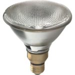 GE 53 W PAR38 Spotlight Halogen Bulb 940 lm White 76142