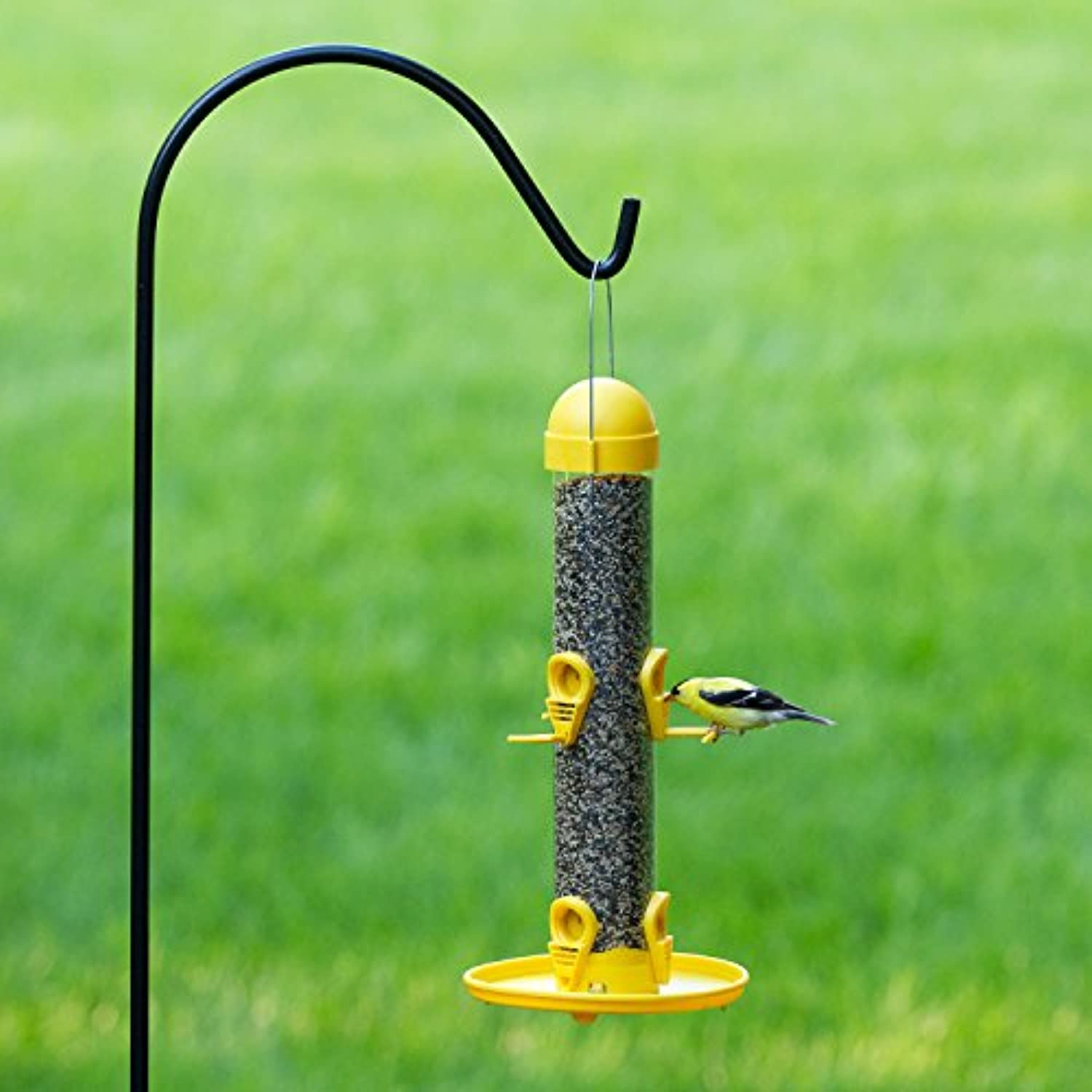 Woodstream, Garden Song Garden Song Finches 1 oz Tube Bird Feeder 6 ports 4644 - Image 3