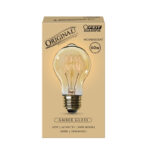 Feit Electric The Original 60 W A19 Vintage Incandescent Bulb E26 (Medium) Soft White