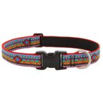 Lupine Pet Original Designs Multicolored El Paso Nylon Dog Adjustable Collar 16-28" Long
